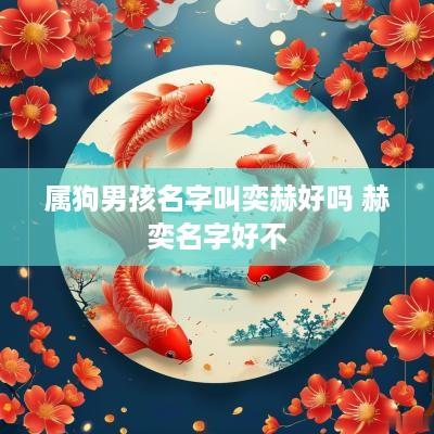 属狗男孩名字叫奕赫好吗 赫奕名字好不