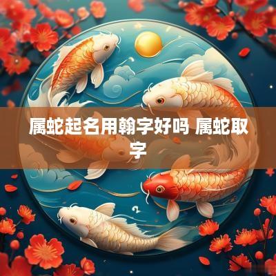属蛇起名用翰字好吗 属蛇取字