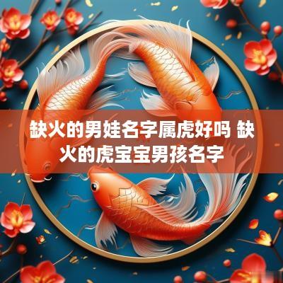 缺火的男娃名字属虎好吗 缺火的虎宝宝男孩名字