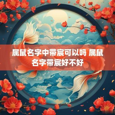 属鼠名字中带宸可以吗 属鼠名字带宸好不好