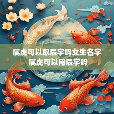 属虎可以取辰字吗女生名字 属虎可以用辰字吗