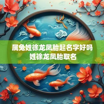 属兔姓徐龙凤胎起名字好吗 姓徐龙凤胎取名