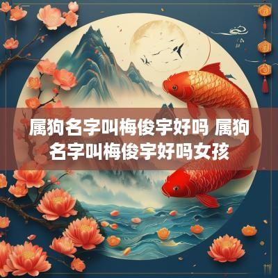 属狗名字叫梅俊宇好吗 属狗名字叫梅俊宇好吗女孩