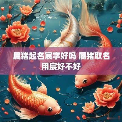 属猪起名宸字好吗 属猪取名用宸好不好