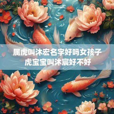 属虎叫沐宏名字好吗女孩子 虎宝宝叫沐宸好不好