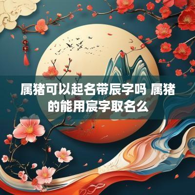 属猪可以起名带辰字吗 属猪的能用宸字取名么