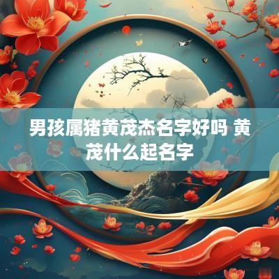 男孩属猪黄茂杰名字好吗 黄茂什么起名字