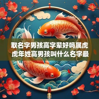 取名字男孩高字辈好吗属虎 蛇年姓高男孩叫什么名字最好