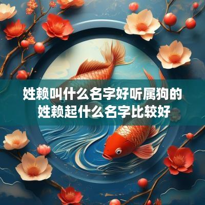 姓赖叫什么名字好听属狗的 姓赖起什么名字比较好