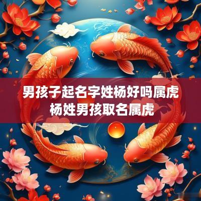 男孩子起名字姓杨好吗属虎 杨姓男孩取名属虎