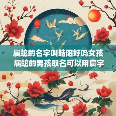 属蛇的名字叫皓阳好吗女孩 属蛇的男孩取名可以用宸字吗
