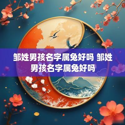 邹姓男孩名字属兔好吗 邹姓男孩名字属兔好吗