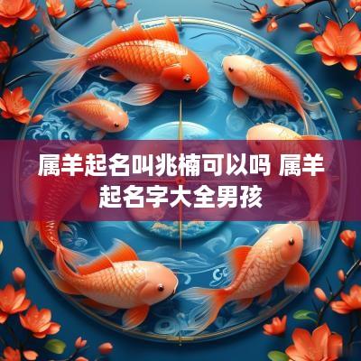 属羊起名叫兆楠可以吗 属羊起名字大全男孩