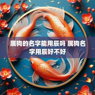 属狗的名字能用辰吗 属狗名字用辰好不好