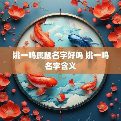 姚一鸣属鼠名字好吗 姚一鸣名字含义
