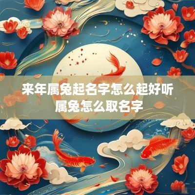 来年属兔起名字怎么起好听 属兔怎么取名字