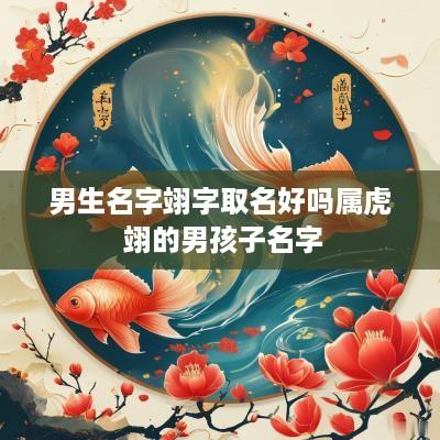 男生名字翊字取名好吗属虎 翊的男孩子名字