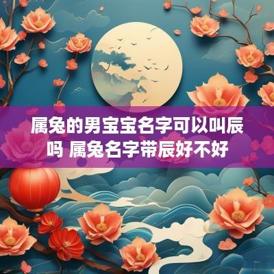 属兔的男宝宝名字可以叫辰吗 属兔名字带辰好不好
