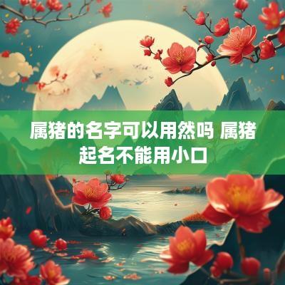 属猪的名字可以用然吗 属猪起名不能用小口