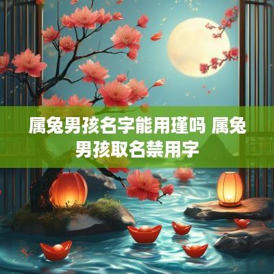 属兔男孩名字能用瑾吗 属兔男孩取名禁用字