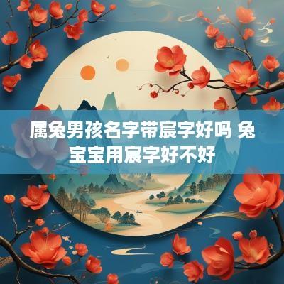 属兔男孩名字带宸字好吗 兔宝宝用宸字好不好