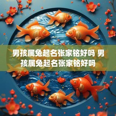 男孩属兔起名张家铭好吗 男孩属兔起名张家铭好吗