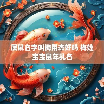 属鼠名字叫梅用杰好吗 梅姓宝宝蛇年乳名