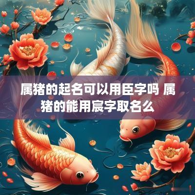 属猪的起名可以用臣字吗 属猪的能用宸字取名么