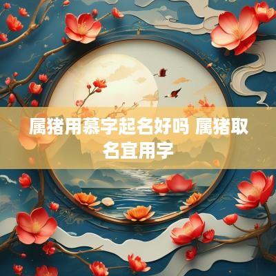 属猪用慕字起名好吗 属猪取名宜用字