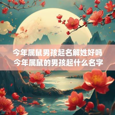 今年属鼠男孩起名解姓好吗 今年属鼠的男孩起什么名字好听