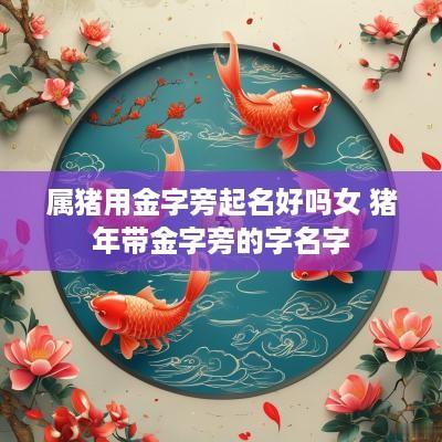 属猪用金字旁起名好吗女 猪年带金字旁的字名字
