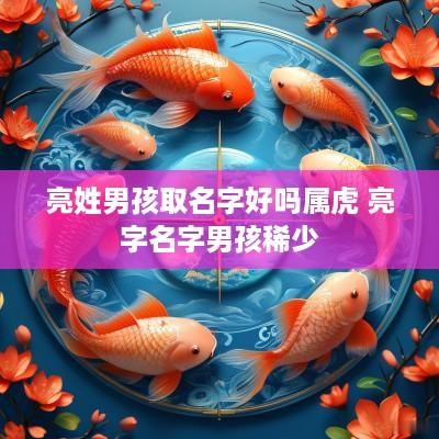 亮姓男孩取名字好吗属虎 亮字名字男孩稀少