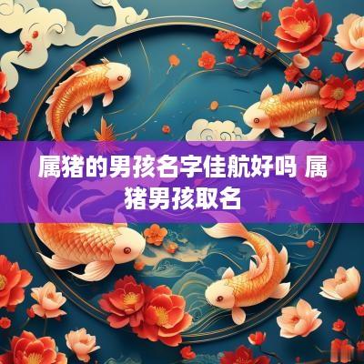 属猪的男孩名字佳航好吗 属猪男孩取名