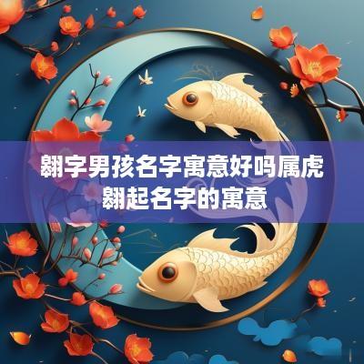 翱字男孩名字寓意好吗属虎 翱起名字的寓意