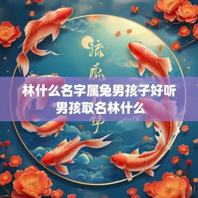 林什么名字属兔男孩子好听 男孩取名林什么