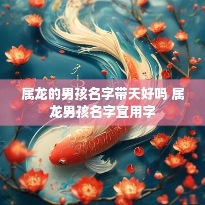 属龙的男孩名字带天好吗 属龙男孩名字宜用字