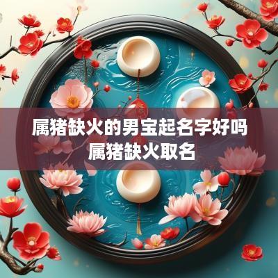 属猪缺火的男宝起名字好吗 属猪缺火取名