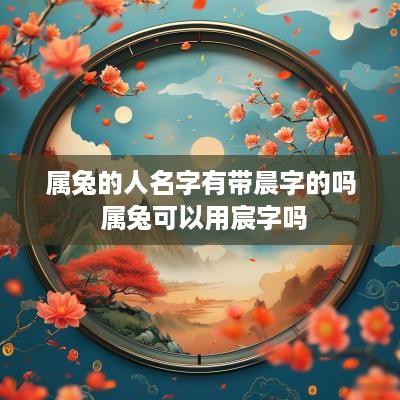 属兔的人名字有带晨字的吗 属兔可以用宸字吗