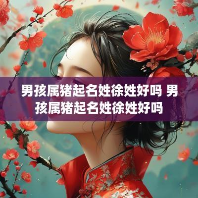 男孩属猪起名姓徐姓好吗 男孩属猪起名姓徐姓好吗
