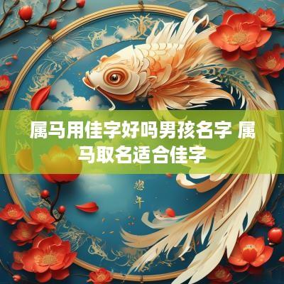 属马用佳字好吗男孩名字 属马取名适合佳字