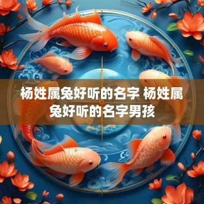 杨姓属兔好听的名字 杨姓属兔好听的名字男孩