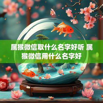 属猴微信取什么名字好听 属猴微信用什么名字好