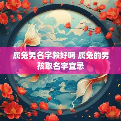 属兔男名字毅好吗 属兔的男孩取名字宜忌