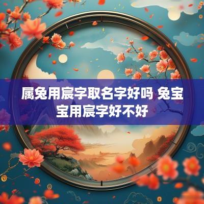 属兔用宸字取名字好吗 兔宝宝用宸字好不好