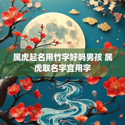 属虎起名用竹字好吗男孩 属虎取名字宜用字