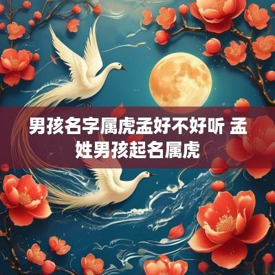 男孩名字属虎孟好不好听 孟姓男孩起名属虎