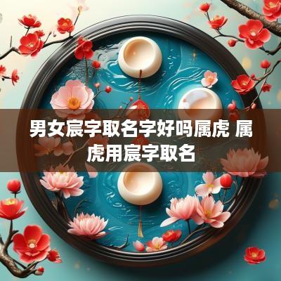 男女宸字取名字好吗属虎 属虎用宸字取名
