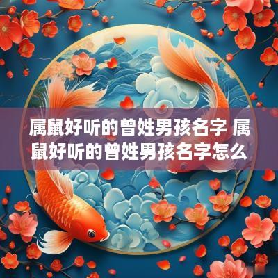 属鼠好听的曾姓男孩名字 属鼠好听的曾姓男孩名字怎么取