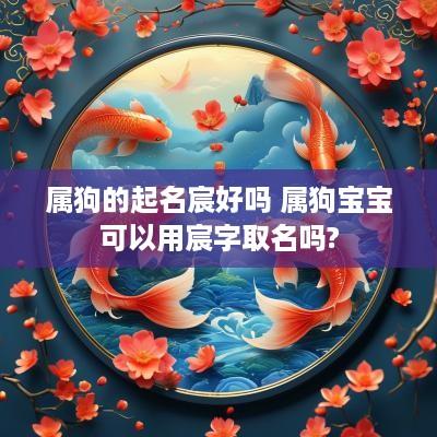 属狗的起名宸好吗 属狗宝宝可以用宸字取名吗?