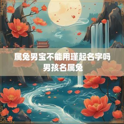 属兔男宝不能用瑾起名字吗 男孩名属兔